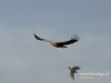 Filename=055_fotowilga~22.JPG
Filesize=49KB
Dimensions=640x480
Date added=Feb 09, 2016 055_fotowilga~22.JPG