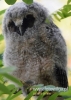 Filename=055_fotowilga~32.JPG
Filesize=66KB
Dimensions=343x480
Date added=Jul 15, 2016 055_fotowilga~32.JPG