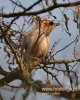 Filename=056_fotowilga~26.JPG
Filesize=94KB
Dimensions=384x480
Date added=Apr 06, 2016 056_fotowilga~26.JPG