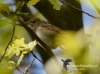 Filename=056_fotowilga~29.JPG
Filesize=71KB
Dimensions=640x475
Date added=Aug 01, 2016 056_fotowilga~29.JPG