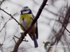 Filename=056_fotowilga~38.JPG
Filesize=77KB
Dimensions=640x480
Date added=Mar 06, 2017 056_fotowilga~38.JPG
