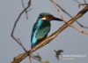 Filename=057_fotowilga~22.JPG
Filesize=85KB
Dimensions=640x457
Date added=Feb 22, 2016 057_fotowilga~22.JPG