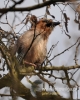 Filename=057_fotowilga~26.JPG
Filesize=93KB
Dimensions=384x480
Date added=Apr 05, 2016 057_fotowilga~26.JPG