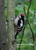 Filename=057_fotowilga~28.JPG
Filesize=85KB
Dimensions=343x480
Date added=May 28, 2016 057_fotowilga~28.JPG