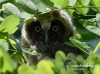 Filename=057_fotowilga~33.JPG
Filesize=90KB
Dimensions=640x475
Date added=Aug 10, 2016 057_fotowilga~33.JPG