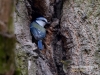 Filename=057_fotowilga~41.JPG
Filesize=133KB
Dimensions=640x480
Date added=Mar 13, 2017 057_fotowilga~41.JPG