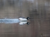 Filename=057_fotowilga~61.JPG
Filesize=262KB
Dimensions=700x525
Date added=Feb 06, 2019 057_fotowilga~61.JPG