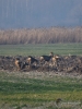 Filename=057_fotowilga~63.JPG
Filesize=294KB
Dimensions=525x700
Date added=May 15, 2019 057_fotowilga~63.JPG