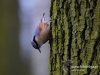 Filename=058_fotowilga~42.JPG
Filesize=93KB
Dimensions=640x480
Date added=Mar 21, 2017 058_fotowilga~42.JPG
