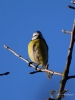 Filename=058_fotowilga~57.JPG
Filesize=219KB
Dimensions=525x700
Date added=Feb 09, 2018 058_fotowilga~57.JPG