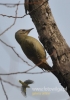 Filename=059_fotowilga~21.JPG
Filesize=72KB
Dimensions=339x480
Date added=Nov 07, 2015 059_fotowilga~21.JPG