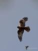 Filename=059_fotowilga~28.JPG
Filesize=182KB
Dimensions=525x700
Date added=Apr 07, 2019 059_fotowilga~28.JPG