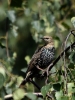Filename=059_fotowilga~63.JPG
Filesize=268KB
Dimensions=525x700
Date added=Nov 28, 2019 059_fotowilga~63.JPG