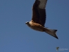 Filename=059_fotowilga~65.JPG
Filesize=208KB
Dimensions=700x525
Date added=Dec 09, 2019 059_fotowilga~65.JPG