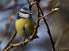 Filename=0606_fotowilga.JPG
Filesize=240KB
Dimensions=700x525
Date added=Jul 22, 2019 0606_fotowilga.JPG