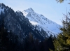 060_fotowilga~53.JPG