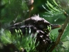 Filename=060_fotowilga~56.JPG
Filesize=264KB
Dimensions=700x525
Date added=May 08, 2019 060_fotowilga~56.JPG