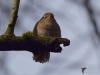 Filename=060_fotowilga~57.JPG
Filesize=206KB
Dimensions=700x525
Date added=May 10, 2019 060_fotowilga~57.JPG