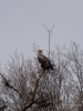 Filename=060_fotowilga~60.JPG
Filesize=295KB
Dimensions=525x700
Date added=May 31, 2019 060_fotowilga~60.JPG