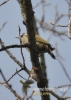 Filename=061_fotowilga~24.JPG
Filesize=70KB
Dimensions=343x480
Date added=Apr 17, 2016 061_fotowilga~24.JPG