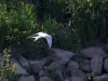 Filename=061_fotowilga~58.JPG
Filesize=247KB
Dimensions=700x525
Date added=Mar 25, 2019 061_fotowilga~58.JPG