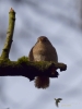 Filename=061_fotowilga~59.JPG
Filesize=185KB
Dimensions=525x700
Date added=May 06, 2019 061_fotowilga~59.JPG