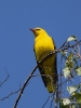 Filename=061_fotowilga~60.JPG
Filesize=256KB
Dimensions=525x700
Date added=May 25, 2019 061_fotowilga~60.JPG