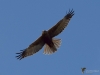 Filename=062_fotowilga~55.JPG
Filesize=201KB
Dimensions=700x525
Date added=Apr 01, 2019 062_fotowilga~55.JPG
