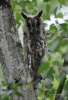 Filename=062_fotowilga~59.JPG
Filesize=238KB
Dimensions=478x700
Date added=Jul 15, 2019 062_fotowilga~59.JPG