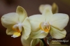 Filename=063_fotowilga~0.JPG
Filesize=93KB
Dimensions=720x480
Date added=Oct 25, 2012 063_fotowilga~0.JPG