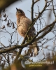Filename=063_fotowilga~25.JPG
Filesize=97KB
Dimensions=384x480
Date added=Apr 05, 2016 063_fotowilga~25.JPG
