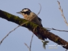 Filename=063_fotowilga~36.JPG
Filesize=62KB
Dimensions=640x480
Date added=Dec 17, 2016 063_fotowilga~36.JPG