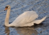 Filename=063_fotowilga~55.JPG
Filesize=277KB
Dimensions=700x500
Date added=Dec 12, 2017 063_fotowilga~55.JPG