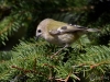 Filename=063_fotowilga~58.JPG
Filesize=309KB
Dimensions=700x525
Date added=Jan 19, 2018 063_fotowilga~58.JPG
