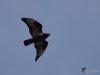 Filename=063_fotowilga~74.JPG
Filesize=174KB
Dimensions=700x525
Date added=Oct 17, 2019 063_fotowilga~74.JPG