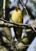 Filename=0647_fotowilga~6.JPG
Filesize=79KB
Dimensions=343x480
Date added=May 07, 2016 0647_fotowilga~6.JPG