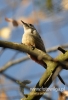 Filename=064_fotowilga~25.JPG
Filesize=70KB
Dimensions=328x480
Date added=Apr 17, 2016 064_fotowilga~25.JPG