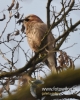 Filename=064_fotowilga~29.JPG
Filesize=94KB
Dimensions=384x480
Date added=Nov 04, 2016 064_fotowilga~29.JPG