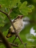 Filename=064_fotowilga~41.JPG
Filesize=261KB
Dimensions=525x700
Date added=Jul 28, 2017 064_fotowilga~41.JPG