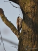 Filename=064_fotowilga~51.JPG
Filesize=248KB
Dimensions=525x700
Date added=Feb 28, 2018 064_fotowilga~51.JPG