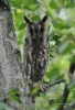 Filename=064_fotowilga~60.JPG
Filesize=266KB
Dimensions=478x700
Date added=Jul 17, 2019 064_fotowilga~60.JPG