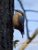Filename=065_fotowilga~27.JPG
Filesize=56KB
Dimensions=360x480
Date added=Dec 06, 2016 065_fotowilga~27.JPG