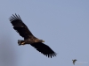 Filename=065_fotowilga~4.JPG
Filesize=191KB
Dimensions=700x525
Date added=Oct 14, 2019 065_fotowilga~4.JPG