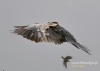 Filename=0660_fotowilga~4.JPG
Filesize=54KB
Dimensions=640x457
Date added=Sep 28, 2015 0660_fotowilga~4.JPG