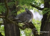 Filename=066_fotowilga~30.JPG
Filesize=105KB
Dimensions=640x457
Date added=Jul 25, 2016 066_fotowilga~30.JPG