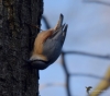 Filename=066_fotowilga~52.JPG
Filesize=269KB
Dimensions=700x618
Date added=Jan 02, 2018 066_fotowilga~52.JPG