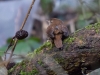 Filename=066_fotowilga~66.JPG
Filesize=300KB
Dimensions=700x525
Date added=May 06, 2019 066_fotowilga~66.JPG