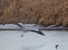 0676_fotowilga.JPG