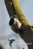 Filename=067_fotowilga~24.JPG
Filesize=66KB
Dimensions=328x480
Date added=Apr 21, 2016 067_fotowilga~24.JPG