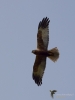 Filename=067_fotowilga~60.JPG
Filesize=192KB
Dimensions=525x700
Date added=Apr 01, 2019 067_fotowilga~60.JPG